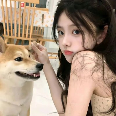 寻找特洛伊